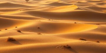 Pustynia Błędowska